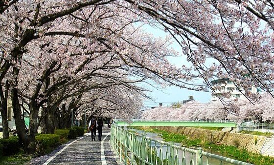 名古屋市名東区で探偵事務所や興信所をお探しなら総合探偵社フリースタイルへ