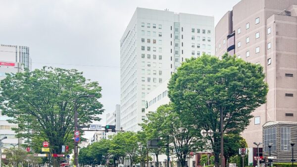 仙台市宮城野区で探偵事務所をお探しなら総合探偵社フリースタイルへ