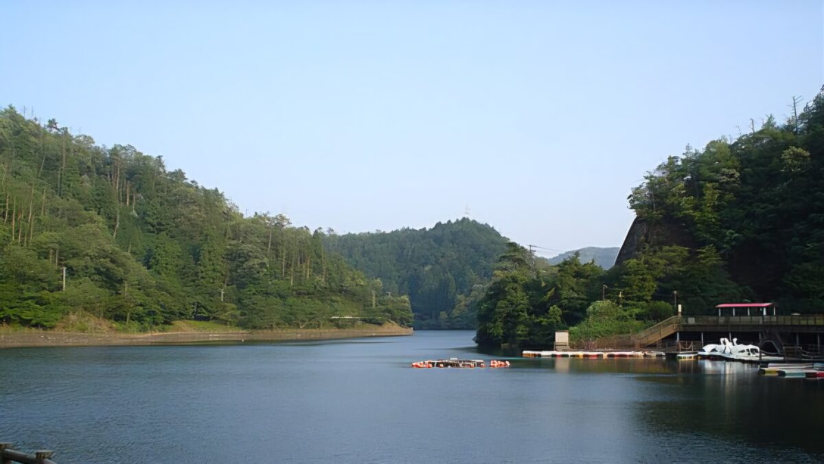 山県市