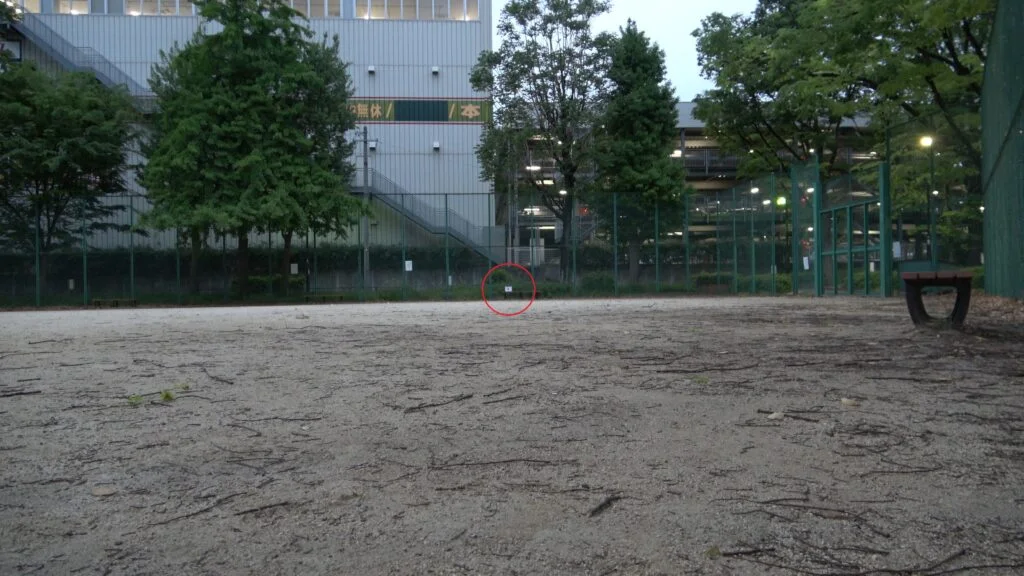 遠距離の撮影